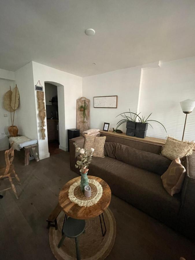 Appartement Zuid ซานด์โวร์ต ภายนอก รูปภาพ