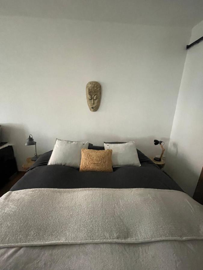 Appartement Zuid ซานด์โวร์ต ภายนอก รูปภาพ